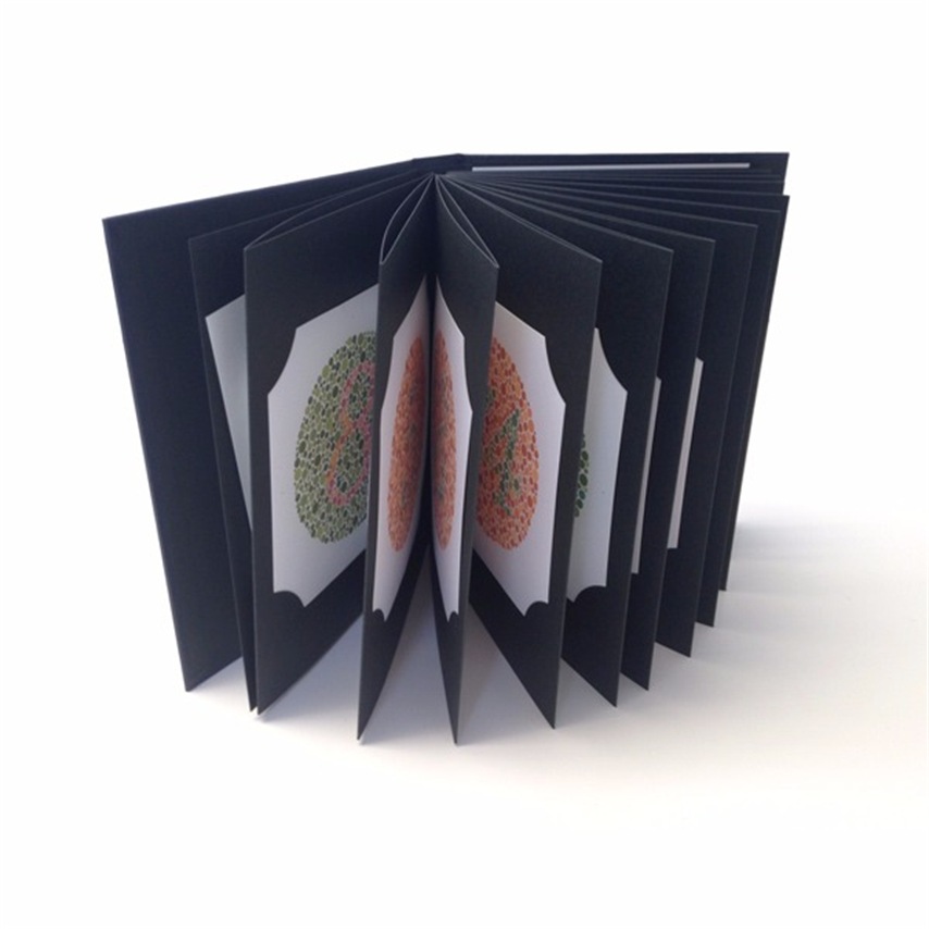 1  Ishihara  Colour  Vision  Test 24  Plate 2  Thumbnail0