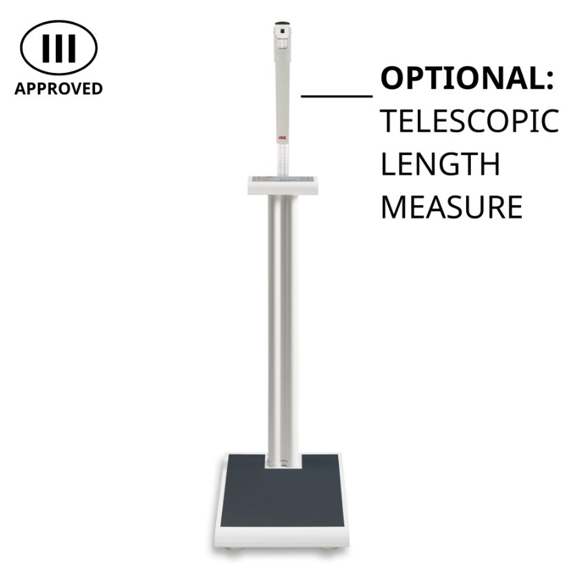 A E D  Column  Scale  M320000-1  H  Thumbnail0